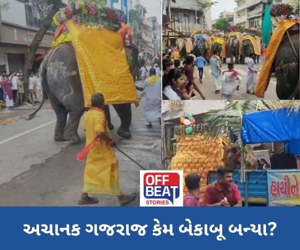 અમદાવાદ રથયાત્રામાં બેકાબૂ બનેલા ગજરાજને કેવી રીતે કાબૂ કરાયા?
